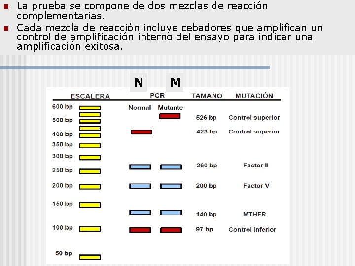 n n La prueba se compone de dos mezclas de reacción complementarias. Cada mezcla