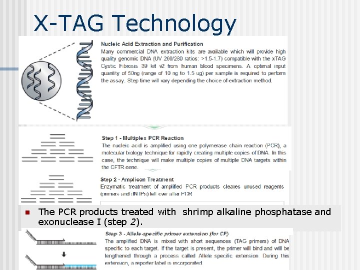 X-TAG Technology n The PCR products treated with shrimp alkaline phosphatase and exonuclease I