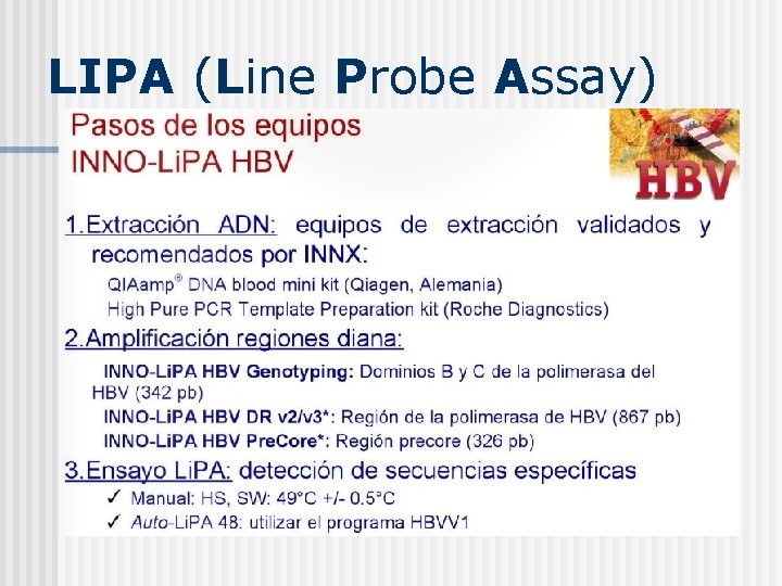 LIPA (Line Probe Assay) 