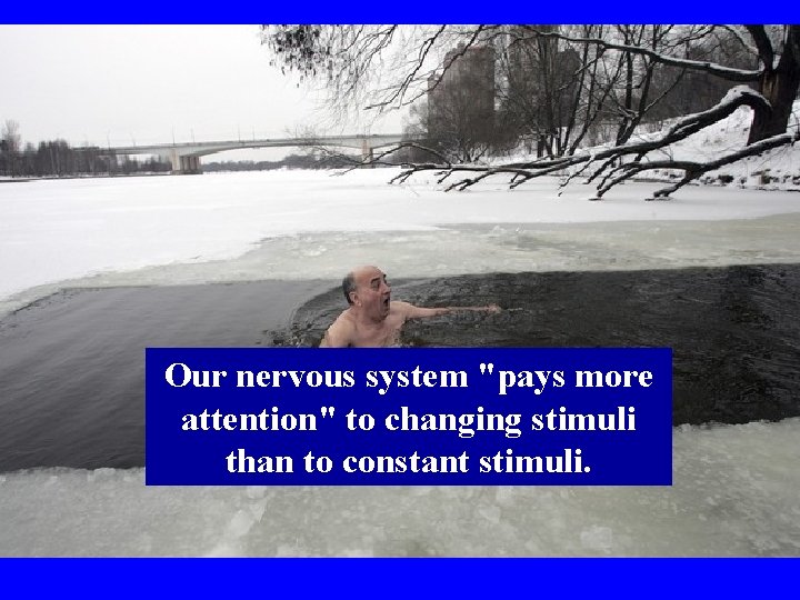 Sensory Adaptation • The diminished responsiveness of senses to prolonged stimulation • • For