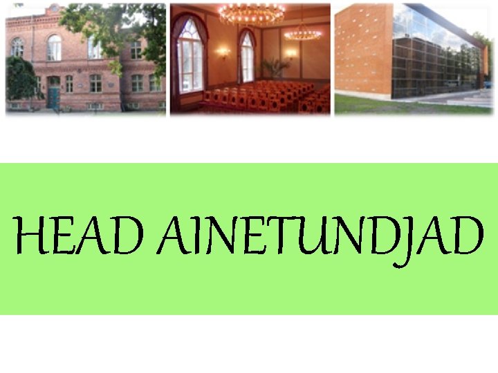 HEAD AINETUNDJAD 