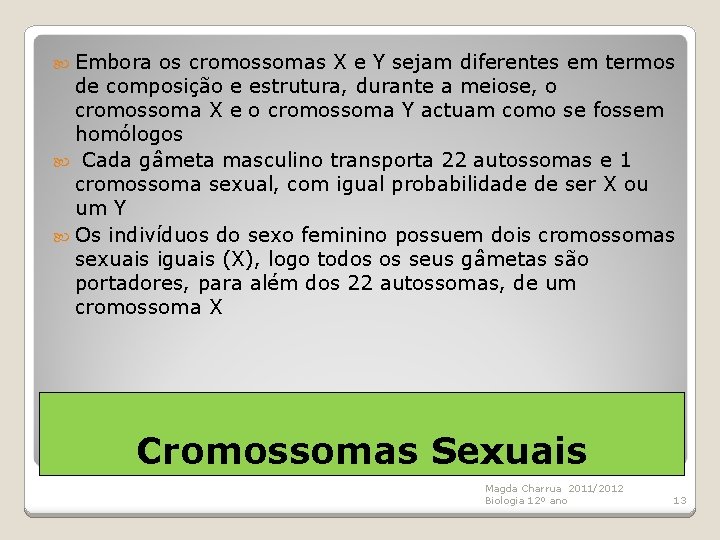  Embora os cromossomas X e Y sejam diferentes em termos de composição e
