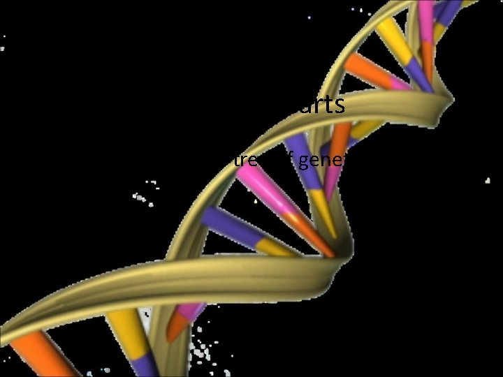 Pedigree Charts • The family tree of genetics 