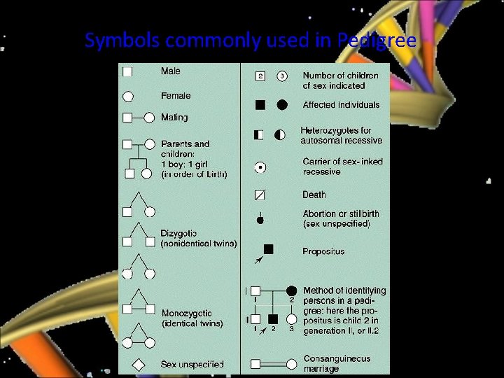 Symbols commonly used in Pedigree 
