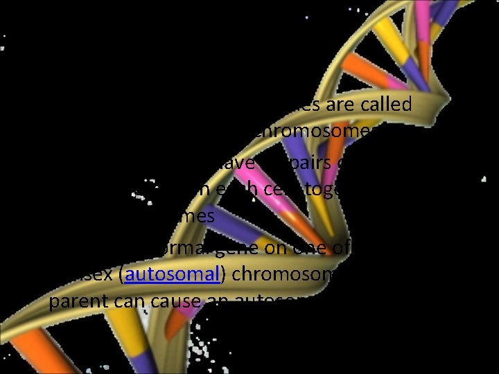  • Autosome = all chromosomes are called autosomes except sex chromosomes • Humans