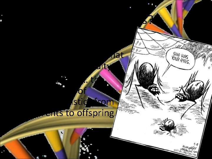 Mendelian Genetics What is genetics? • GENETICS is the branch of Biology that deals