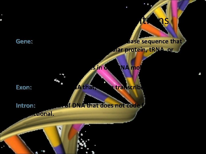 Genes, Exons, and Introns Gene: A segment of DNA that carries a base sequence