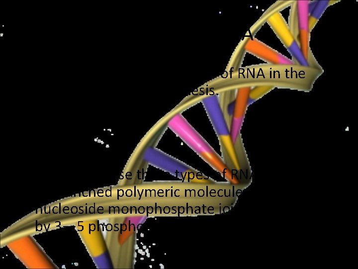 Structure of RNA • There are three Major types of RNA in the process