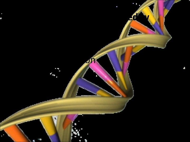 5. What is the study of heredity called? a. Environmental b. Natural Selection c.