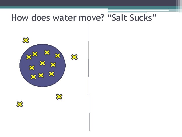 How does water move? “Salt Sucks” 