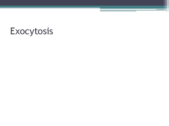 Exocytosis 