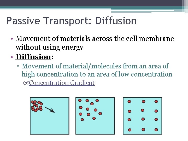 Passive Transport: Diffusion • Movement of materials across the cell membrane without using energy
