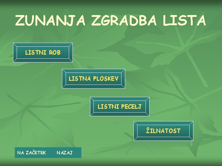 ZUNANJA ZGRADBA LISTNI ROB LISTNA PLOSKEV LISTNI PECELJ ŽILNATOST NA ZAČETEK NAZAJ 