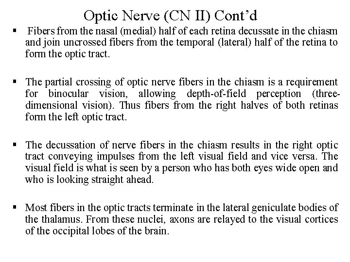 Optic Nerve (CN II) Cont’d § Fibers from the nasal (medial) half of each