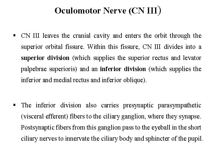 Oculomotor Nerve (CN III) § CN III leaves the cranial cavity and enters the