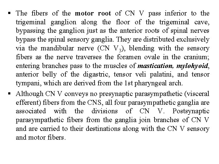 § The fibers of the motor root of CN V pass inferior to the