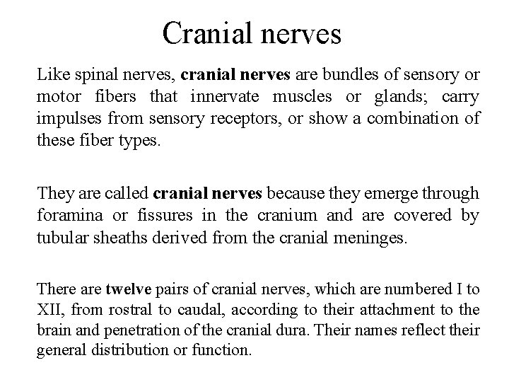 Cranial nerves Like spinal nerves, cranial nerves are bundles of sensory or motor fibers