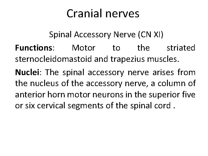 Cranial nerves Spinal Accessory Nerve (CN XI) Functions: Motor to the striated sternocleidomastoid and
