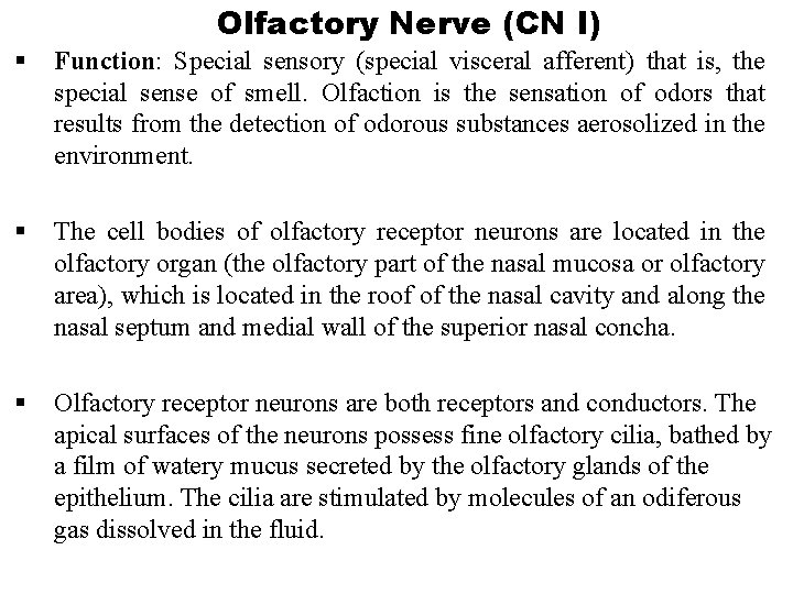 Olfactory Nerve (CN I) § Function: Special sensory (special visceral afferent) that is, the