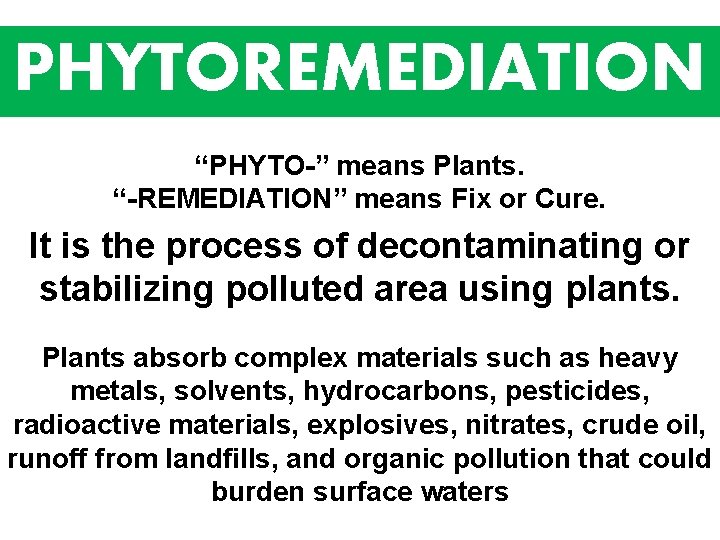PHYTOREMEDIATION “PHYTO-” means Plants. “-REMEDIATION” means Fix or Cure. It is the process of