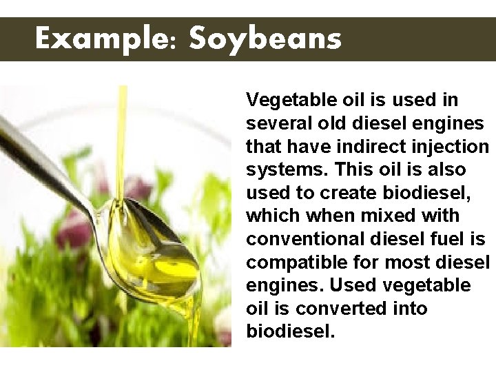 Example: Soybeans Vegetable oil is used in several old diesel engines that have indirect