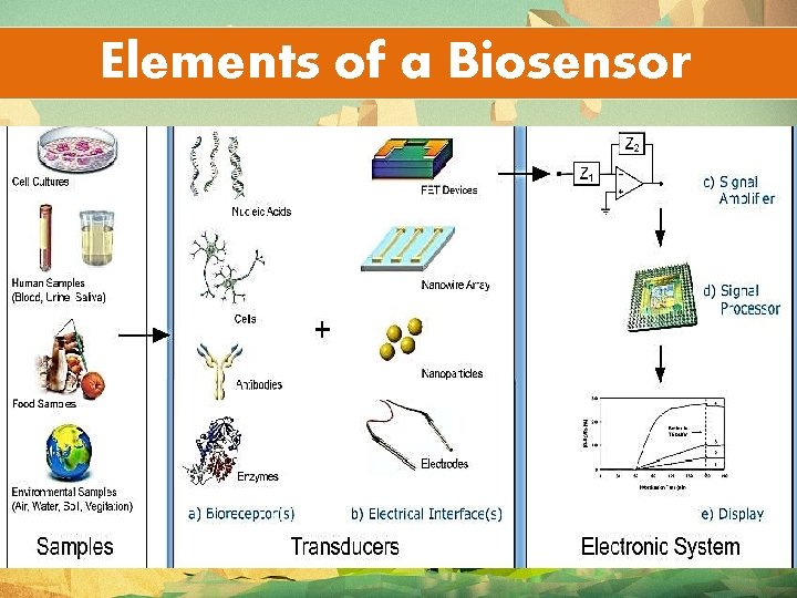 Elements of a Biosensor 