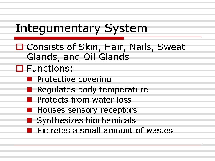 Integumentary System o Consists of Skin, Hair, Nails, Sweat Glands, and Oil Glands o