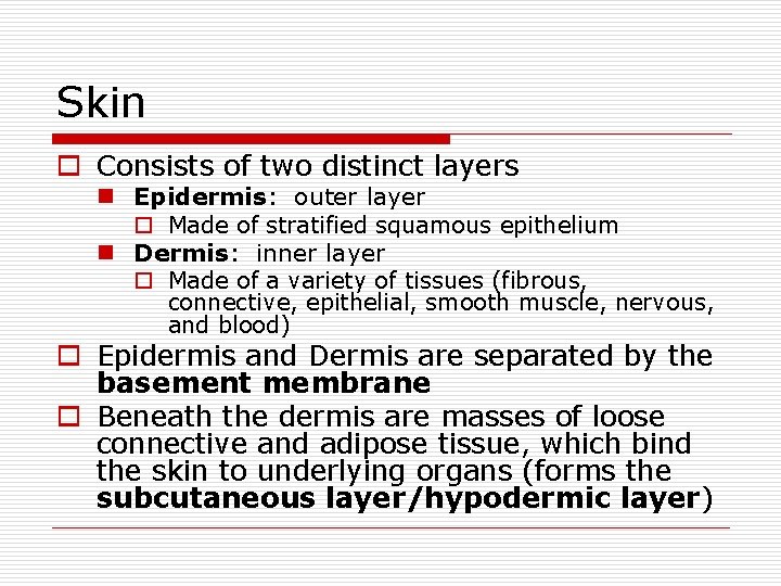 Skin o Consists of two distinct layers n Epidermis: outer layer o Made of