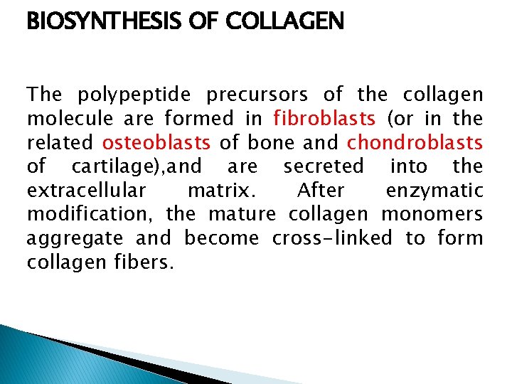 BIOSYNTHESIS OF COLLAGEN The polypeptide precursors of the collagen molecule are formed in fibroblasts