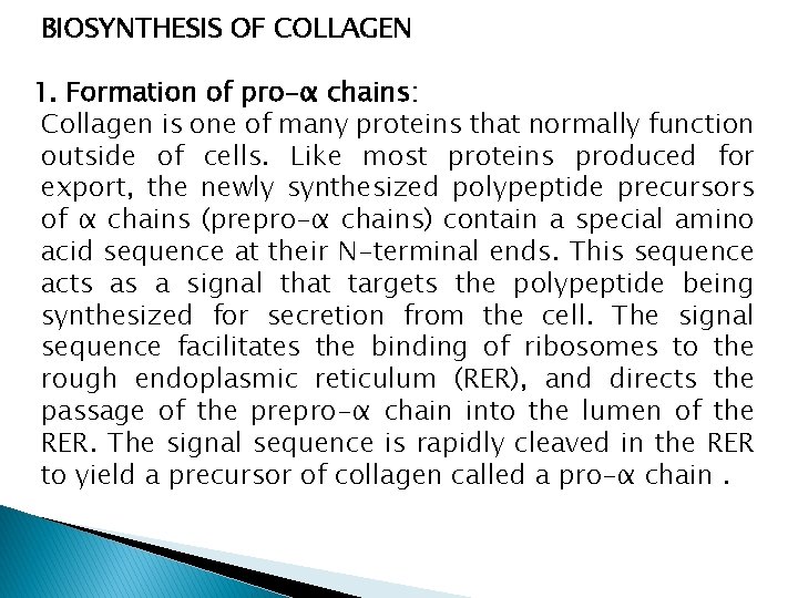 BIOSYNTHESIS OF COLLAGEN 1. Formation of pro-α chains: Collagen is one of many proteins