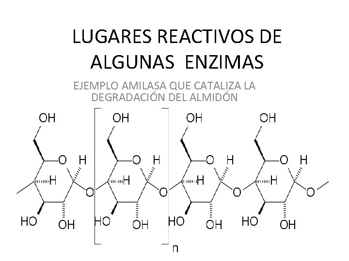 LUGARES REACTIVOS DE ALGUNAS ENZIMAS EJEMPLO AMILASA QUE CATALIZA LA DEGRADACIÓN DEL ALMIDÓN 