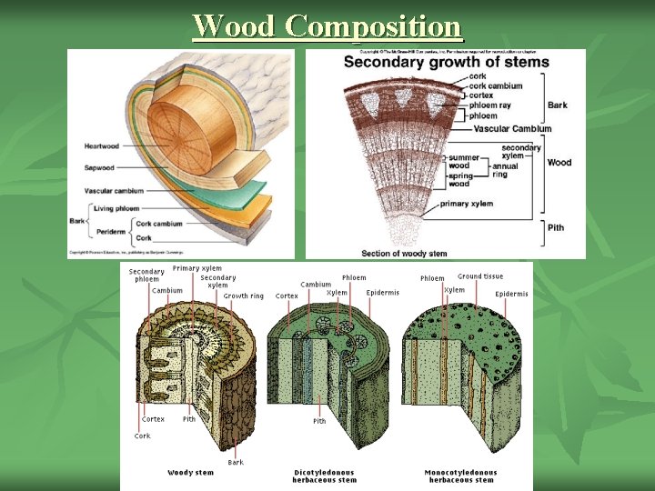 Wood Composition 