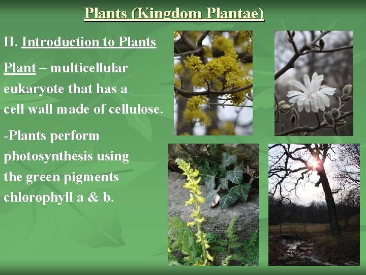 Plants (Kingdom Plantae) II. Introduction to Plants Plant – multicellular eukaryote that has a