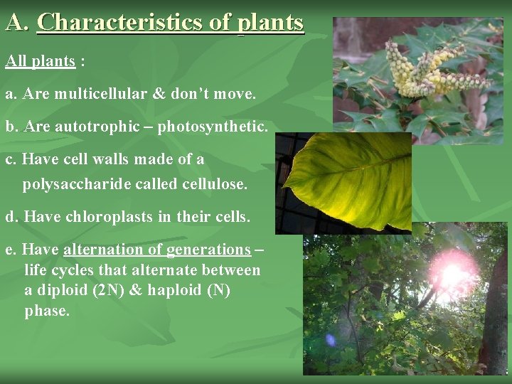 A. Characteristics of plants All plants : a. Are multicellular & don’t move. b.