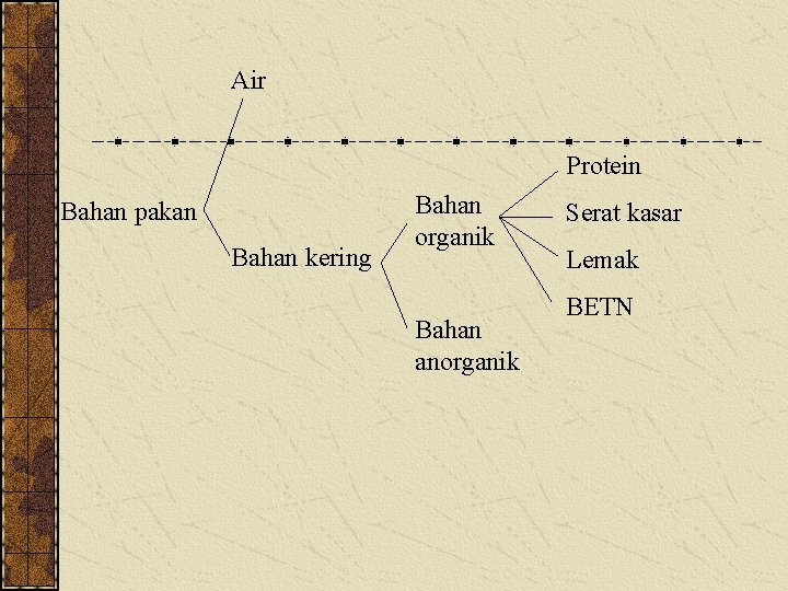 Air Protein Bahan pakan Bahan kering Bahan organik Bahan anorganik Serat kasar Lemak BETN