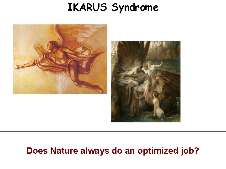 IKARUS Syndrome Does Nature always do an optimized job? 