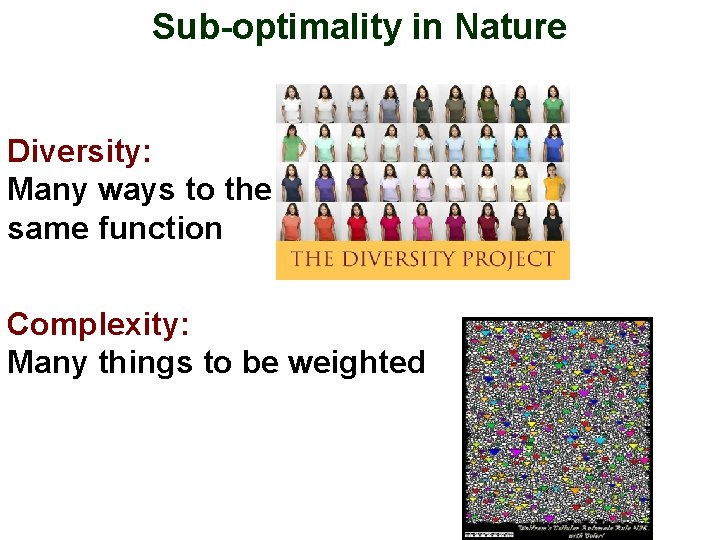 Sub-optimality in Nature Diversity: Many ways to the same function Complexity: Many things to