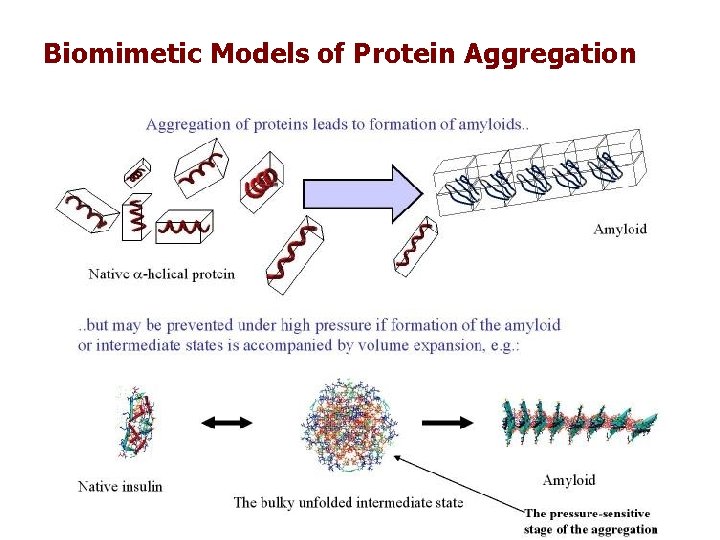 Biomimetic Models of Protein Aggregation 