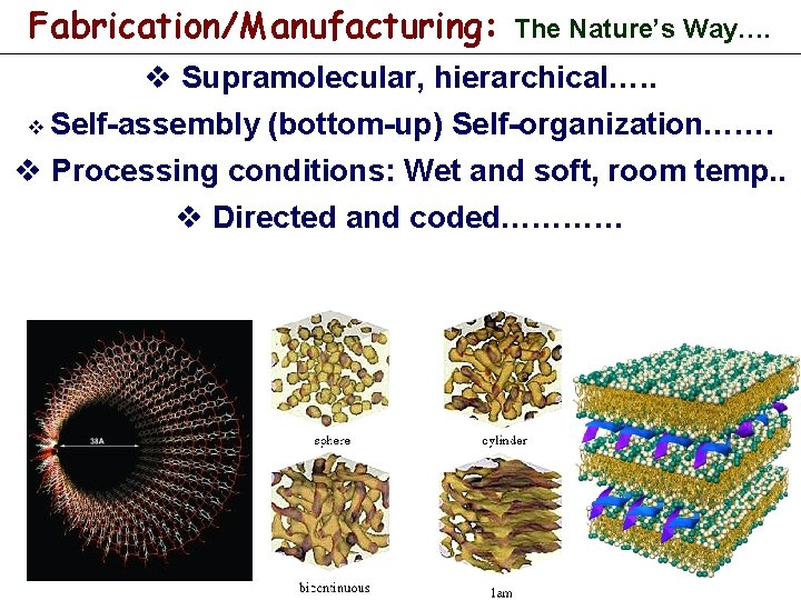 Fabrication/Manufacturing: The Nature’s Way…. v Supramolecular, hierarchical…. . v Self-assembly (bottom-up) Self-organization……. v Processing
