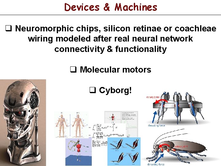 Devices & Machines q Neuromorphic chips, silicon retinae or coachleae wiring modeled after real