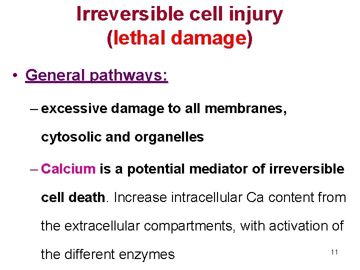 Irreversible cell injury (lethal damage) • General pathways: – excessive damage to all membranes,