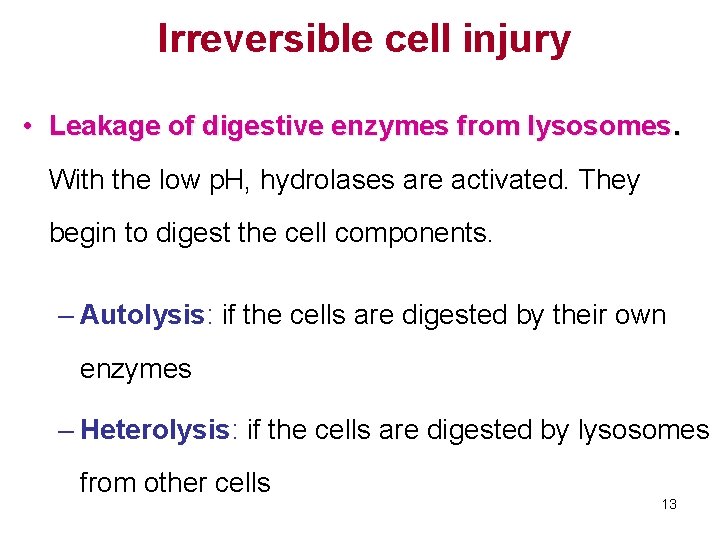 Irreversible cell injury • Leakage of digestive enzymes from lysosomes. With the low p.