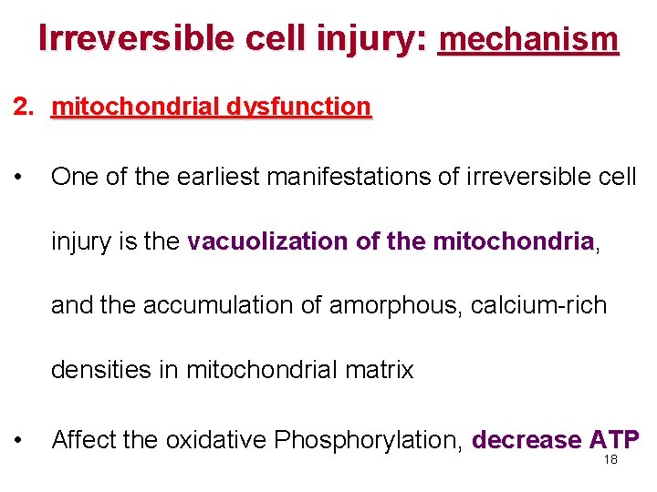 Irreversible cell injury: mechanism 2. mitochondrial dysfunction • One of the earliest manifestations of