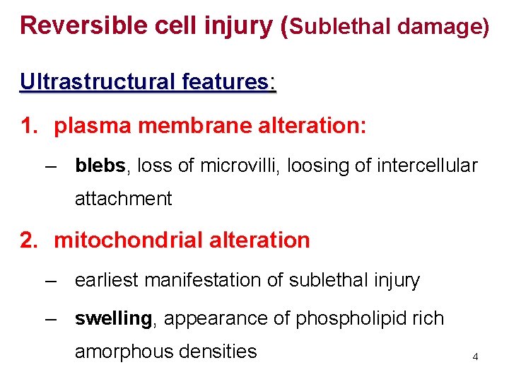 Reversible cell injury (Sublethal damage) Ultrastructural features: 1. plasma membrane alteration: – blebs, loss