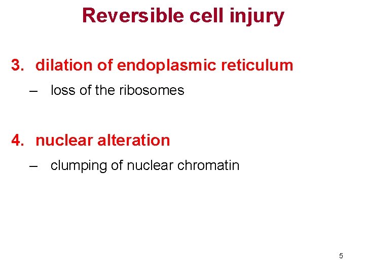 Reversible cell injury 3. dilation of endoplasmic reticulum – loss of the ribosomes 4.