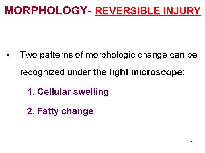 MORPHOLOGY- REVERSIBLE INJURY • Two patterns of morphologic change can be recognized under the