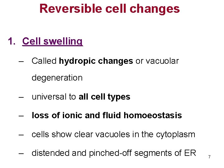 Reversible cell changes 1. Cell swelling – Called hydropic changes or vacuolar degeneration –