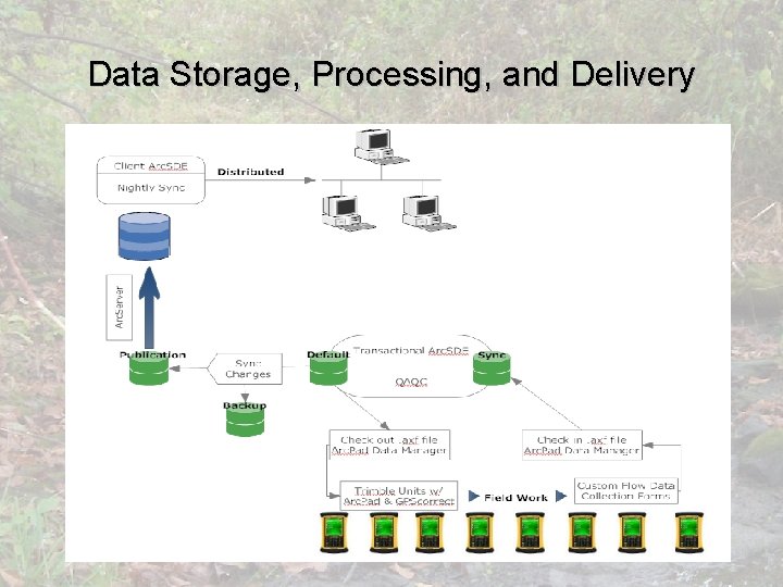 Data Storage, Processing, and Delivery 