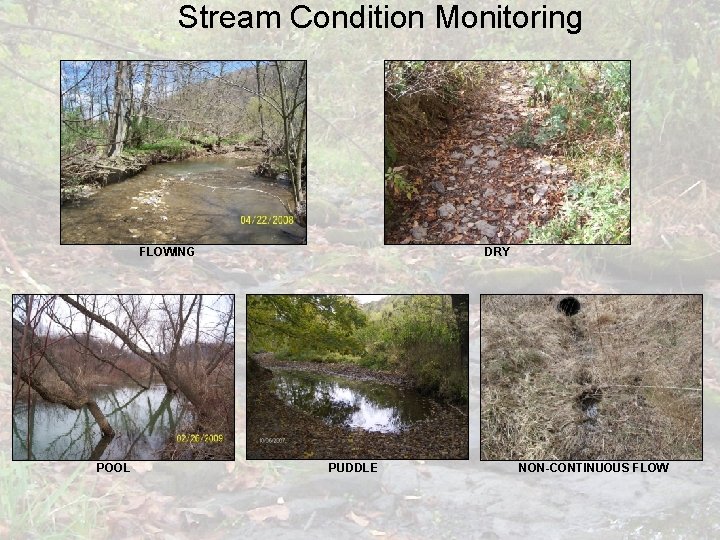 Stream Condition Monitoring FLOWING POOL DRY PUDDLE NON-CONTINUOUS FLOW 