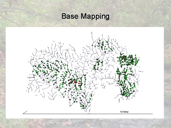 Base Mapping 19 Miles 